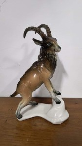 Koziorożec Karl Ens